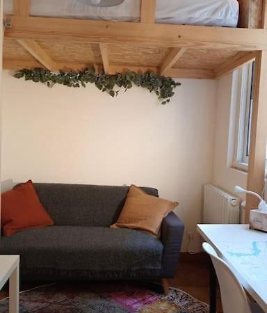 Petit Mignon - Hypercentre Toulouse Apartment Bagian luar foto