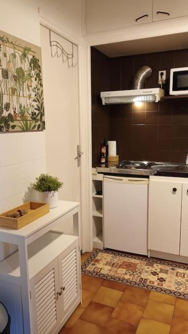Petit Mignon - Hypercentre Toulouse Apartment Bagian luar foto
