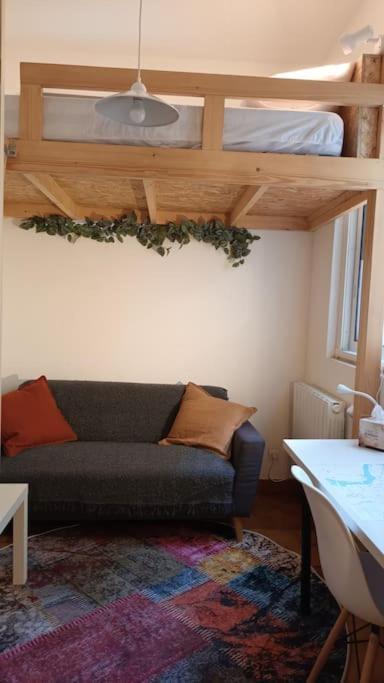 Petit Mignon - Hypercentre Toulouse Apartment Bagian luar foto